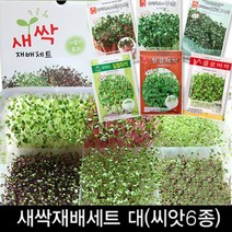 세경팜 새싹재배세트 대-씨앗6종(재배기+씨앗6종)