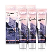 2080 퓨어솔트 치약 핑크민트향 120g 6개