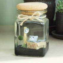 벅스앤미 마리모 키우기 세트 일본산 반려식물, 마리모키우기 대(고양이), 1개