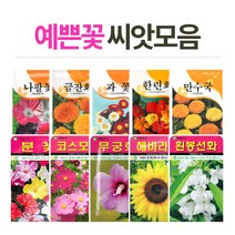 화분월드 고급 꽃씨, (고급꽃씨)접시꽃100립