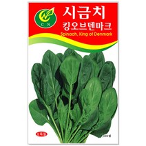 청농종묘 케일 씨앗 600립 - 채소씨앗 상추씨앗 쌈채소 씨, 16_시금치킹오브덴마크(1300립)