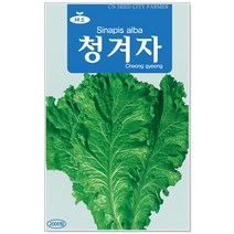 청농종묘 적겨자 씨앗 2000립 채소씨앗 겨자씨 씨 쌈채소씨앗, 04_청겨자(2000립)