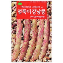 청농종묘 여주 씨앗 10립 여주씨 여주씨앗 씨 식물여주, 28_얼룩이강낭콩(70립)