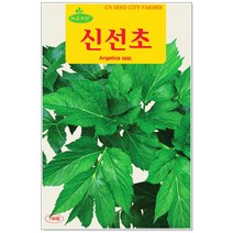 청농종묘 경수채 씨앗 15g 경수채씨앗 경수채씨 교나 미즈나, 21_신선초(100립 )