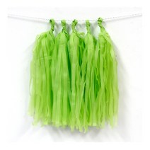 파티앤벌룬코리아 DIY태슬가랜드 단색(5개입), 5.라임그린