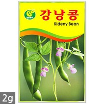 코스모스 50립 - 코스모스씨앗 코스모스꽃씨 꽃씨 꽃씨앗 야생화씨앗, 01_청농_강낭콩(2g)