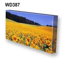 몽차 해바라기 캔버스액자 액자, WD387