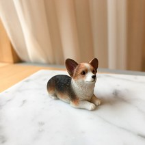 옆동네몰 웰시코기 강아지 미니어처, 엎드린 코기 - 블랙