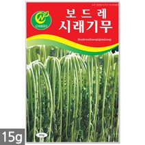 청농종묘 흰색 찰옥수수 씨앗 70립 옥수수씨앗 옥수수씨 씨 찰옥수수씨앗, 11_시래기무(15g)