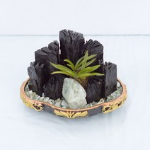 10_삼각미니