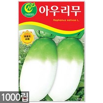 청농종묘 황백 초당옥수수 씨앗 100립 초당옥수수씨앗 옥수수씨앗 초당옥수수씨 옥수수씨, 06_아우리무(1000립)