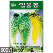 청농종묘 노랑 초당옥수수 씨앗 100립 초당옥수수씨앗 노랑옥수수씨앗 옥수수씨앗 옥수수씨, 16_일품봄배추(500립)