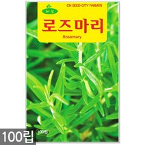 스피아민트 씨앗 2000립 / 허브씨앗 스피아민트씨앗 허브씨 허브 스피아민트씨 씨, 04_허브_로즈마리(100립)