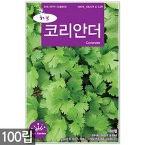 챠빌 씨앗 500립 / 허브씨앗 챠빌씨앗 허브씨 챠빌씨 처빌 허브 향신료, 14_허브_코리안더(100립)
