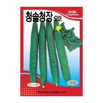 경신종묘 오이씨앗 청솔청장오이 50립