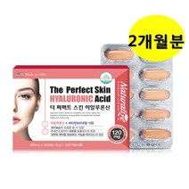네추럴라이즈 더퍼펙트스킨 히알루론산 보습 수분 피부영양제 먹는히알루론산 비오틴 셀레늄 미국산 60캡슐, 1팩