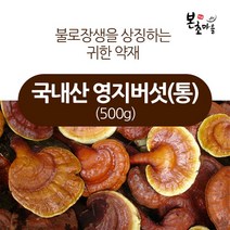 [본초마을] 국내산 영지버섯(통) 500g 고려영지버섯 영지차 버섯 영지정, 1개