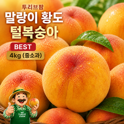 투리브팜 말랑이 황도복숭아 산지직송 고당도  2kg 4kg 중과 대과