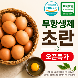 무항생제 계란 신선한 초란 30구,60구 오픈특가, 1개, 30구