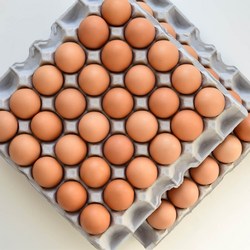 우리집계란 구운계란 구운란 계란 달걀 중란 HACCP 파손보장 랜덤간식 2판부터