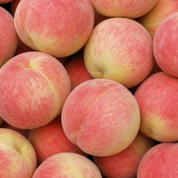 [백화점납품용] 특품 초특가 딱딱 고당도 딱딱이 복숭아, 1개, 4kg 로얄과 (19-22과)