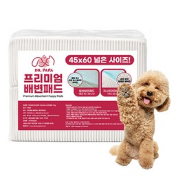 닥터파파 프리미엄 배변패드 29g, 100개입, 1개