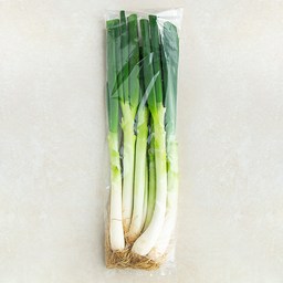 흙대파