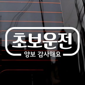 차량용 스티커 심플라인 초보운전