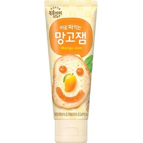 복음자리 바로 짜먹는 망고잼, 100g, 1개