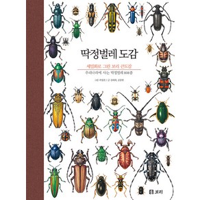 딱정벌레 도감:세밀화로 그린 보리 큰도감, 강태화 김종현, 보리출판사