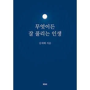 [떠오름]무엇이든 잘 풀리는 인생, 떠오름, 김새해