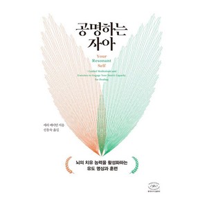 [한국NVC출판사]공명하는 자아 : 뇌의 치유 능력을 활성화하는 유도 명상과 훈련, 세라 페이턴, 한국NVC출판사