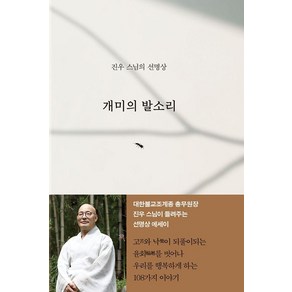 개미의 발소리:진우 스님의 선명상