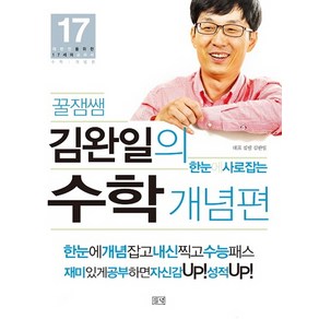 꿀잼쌤 김완일의 한눈에 사로잡는 수학 개념편 (들녘), 들녘, 김완일 저