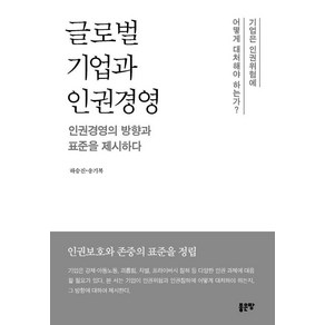 [좋은땅]글로벌 기업과 인권경영, 좋은땅, 하승진 송기복