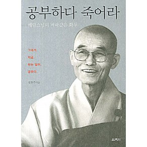 공부하다 죽어라:혜암스님의 벼락같은 화두, 열림원, 정찬주 저/유동영 사진