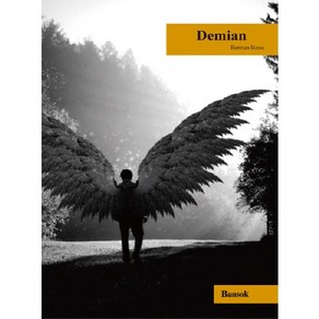 DEMIAN(영문판)