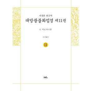 [담앤북스]사경본 한글역 대방광불화엄경 제11권 : 6 비로자나품