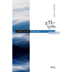 긴 호흡이 필요해:공란영 시조집