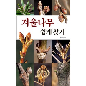 겨울나무 쉽게 찾기, 진선BOOKS, 윤주복