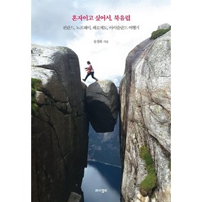 혼자이고 싶어서 북유럽:핀란드 노르웨이 페로제도 아이슬란드 여행기, 송경화, 와이겔리