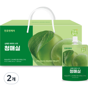 천호엔케어 하루활력 청매실 30p, 2.1L, 2개