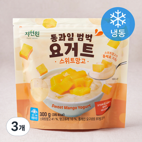 자연원 통과일 범벅 요거트 스위트망고 (냉동), 300g, 3개