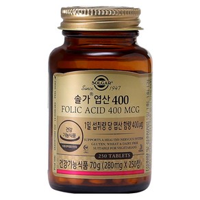 솔가 엽산 400