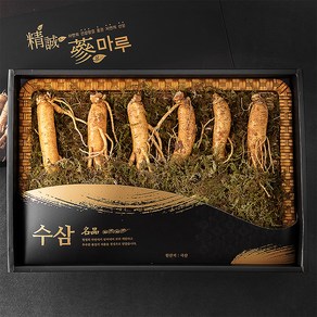 몸애조화 수삼 기획 선물세트, 300g, 1세트