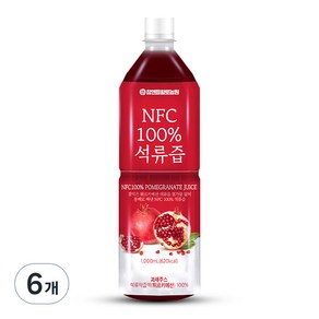 참앤들황토농원 NFC 착즙원액 석류즙