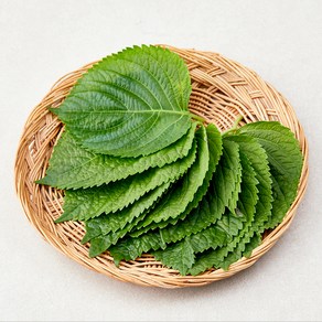 친환경 밀양 깻잎