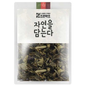 조은약초 자연을 담는다 프리미엄 녹차, 300g, 1개, 1개입