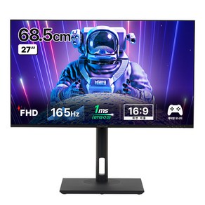 인터픽셀 FHD 리얼 165Hz IPS 평면 게이밍 모니터