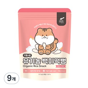 리틀스푼 유아용 유기농 백미떡뻥 과자 30g, 백미맛, 9개